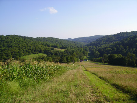 PICT0108